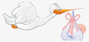 Pregnancy No-nos - Schwangerschaft Glückwünsche