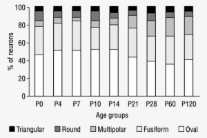Percentage Distribution Of Variously Shaped Nos-ir - Number