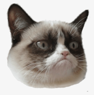 Grumpy Cat Head Right - Grumpy Cat With Hat