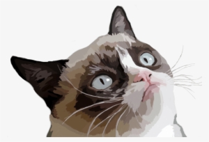 Grumpy Cat Vector Illustration - Grumpy Cat Evil Cat Meme