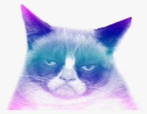 Grumpy Cat Transparent Background