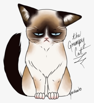 28 Collection Of Kawaii Grumpy Cat Drawing - Png Transparent Grumpy Cat Drawing