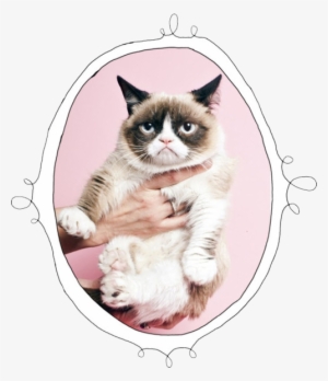 Cat Mine Transparent Grumpy Grumpy Cat Sad Cat - Cute Happy Monday