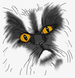 A Grumpy Cat Not All Here - Eine Mürrische Katze Nicht Alle Hier Postkarte