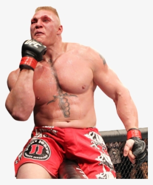 Brock Lesnar This Is A Very Controversial One Since - Brock Lesnar Ufc