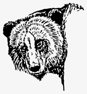 Bear Head Clipart Png For Web