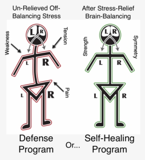 Stick Figures Mr Png Cropped With Labels - Alphabiotic