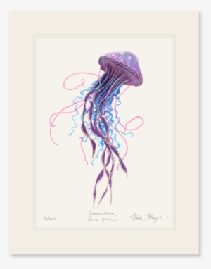 Purple Jellyfish Ii - Pelagia Noctiluca