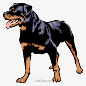Rottweiler Royalty Free Vector Clip Art Illustration - 3drose 3drose Cute And Cuddly Canine Rottweiler - Two
