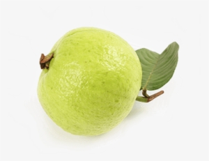 Guava Png