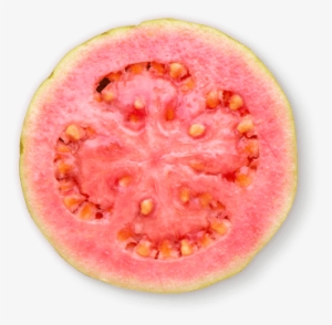 Anjelah Johnson-reyes Was Born And Raised In San Jose, - Bush Tomato