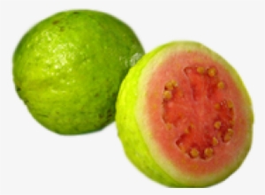 Guava Fruit