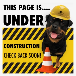 Choosing A Breeder - Rottweiler