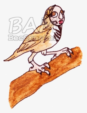 Watercolors « Older Party Siren - House Sparrow