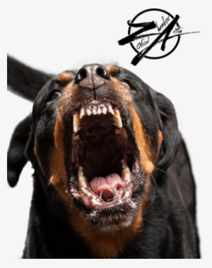 Gráfico Vectorial Gratuito - Nada Sirve La Tecnica Si No Hay Perro