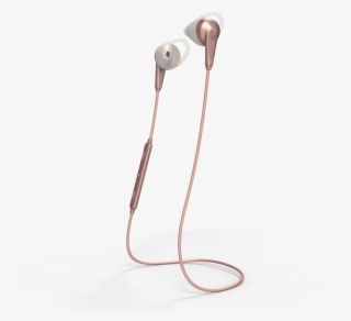 Chicago Rose Gold - Urbanista Chicago