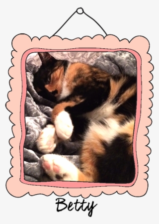 Betty Crossed The Rainbow Bridge On March 30, - Dog