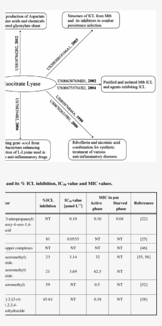 Recent Patents On Icl And Its Applications Thereof