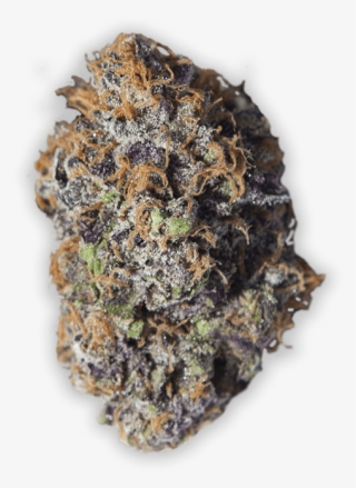 Grandaddy Purple Cannabis In Reno - Strawberry Shortcake Jungle Boys