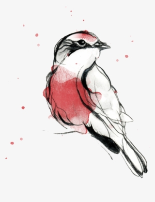 Pajaro Png