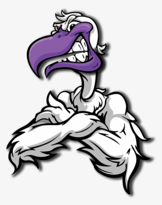 Seagull Uav - Angry Seagull Cartoon