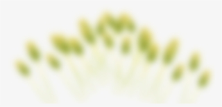 Slide B 2 - Transparent Headers