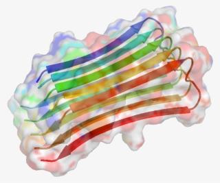 In Which Creationists' Understanding Of Amyloid Appearstangled - Amyloid Beta