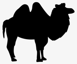 Camel - Silhouette - Animals Illustration - Camel Silhouette Png Bactrian