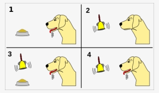 The Experiment - Pavlov Dog