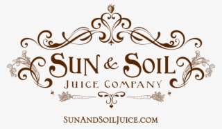Suns Png