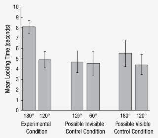 Mean Looking Times For Dogs In Pattison, Miller, Rayburn - Dog