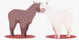 Empathy - Lama Png