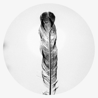 Healing Arts - Psalm 91 4 Deutsch