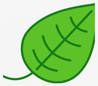 Feather Png Royalty Free - Leaf Clip Art