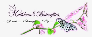 Kathleen's Butterflies - Ashleigh & Burwood