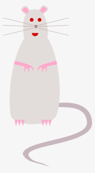 Splat The Rat Mouse Whiskers Cartoon