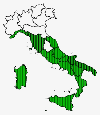 Washingtonia Robusta H - Asinara National Park