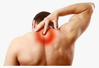 The World's Simplest And Most Effective Way To Eliminate - Dolor En Parte Superior De La Columna