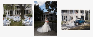 Wedding Events And Venue In Gonzales Texas - Texas
