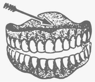 Drawing Human Tooth Black And White Dentures Homo Sapiens - Dentures Clipart