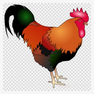 Chicken Clipart Rooster Cochin Chicken Clip Art - Chicken
