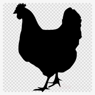 Chicken Silhouette Free Clipart Chicken Clip Art - Record With No Background
