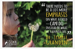 Predictions 2017 Als Ebook Von Selacia