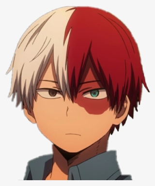 Todoroki Shouto Bokunoheroacademia Myheroacademia Bnha - 轟 焦 凍 猫 耳