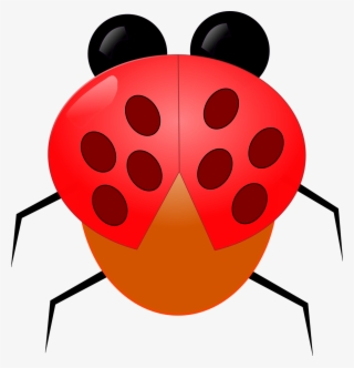 Insect,insect Anime,nature,