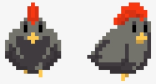 Black Chicken Wikiaimage - Chicken