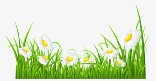 Free Png White Daisies And Grass Transparent Png Images - White Daisies Clipart