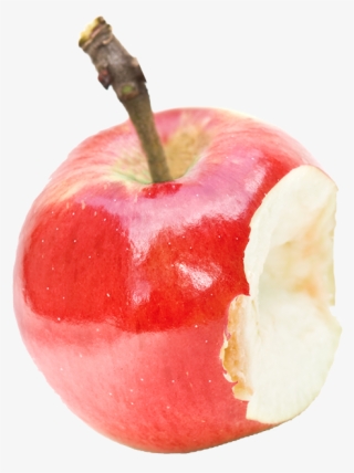 End Waste - Apple