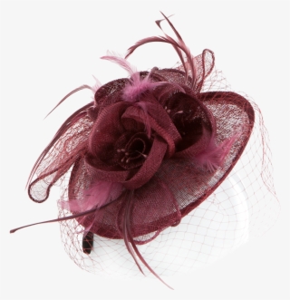 Feather And Mesh Decorated - Fascinator Hat Transparent Background
