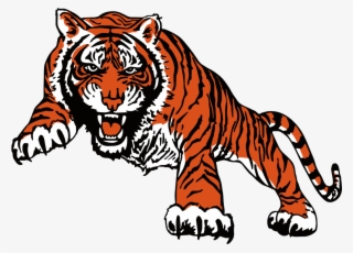 Stockton High School Ks